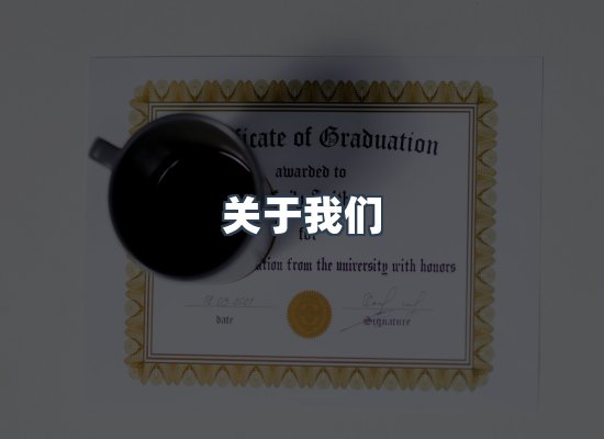 专业团队